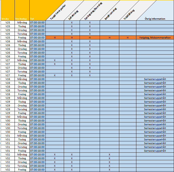 Tidplan för vecka 25 - 32
